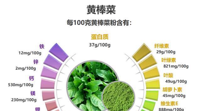 棒棒菜的种植方法和时间（打造丰收的棒棒菜园——一步步实现家庭种植）-第2张图片-绿意生活