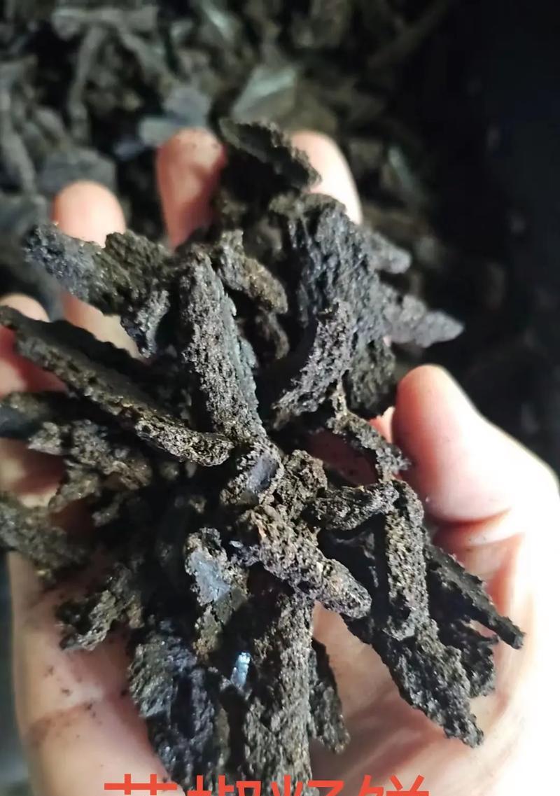 花椒籽的种植方法及注意事项（让您轻松种出健康的花椒树）-第2张图片-绿意生活