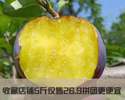 如何判断黑布林是否熟？（掌握这些技巧，轻松分辨熟不熟）-第3张图片-绿意生活