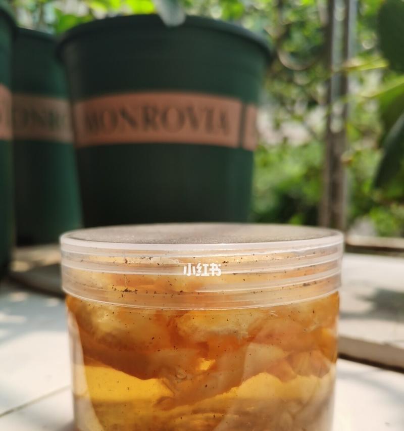 过夜茶叶水能否浇花？（探究茶叶水对植物的影响，）-第3张图片-绿意生活