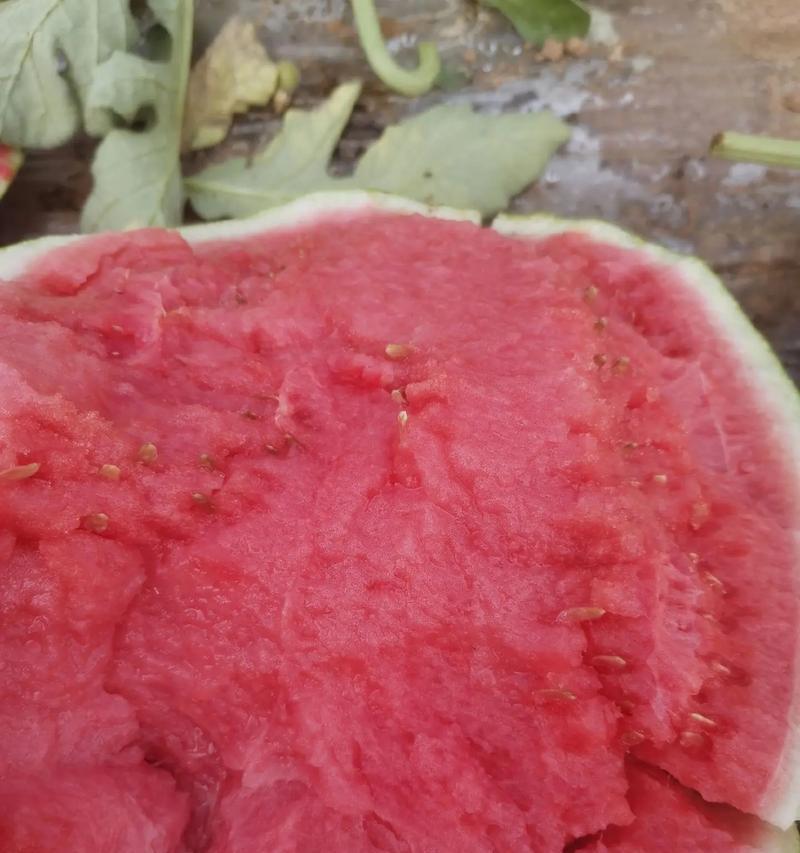 西瓜产地大揭秘（原产地不是中国？寻找全球最佳种植地）-第2张图片-绿意生活