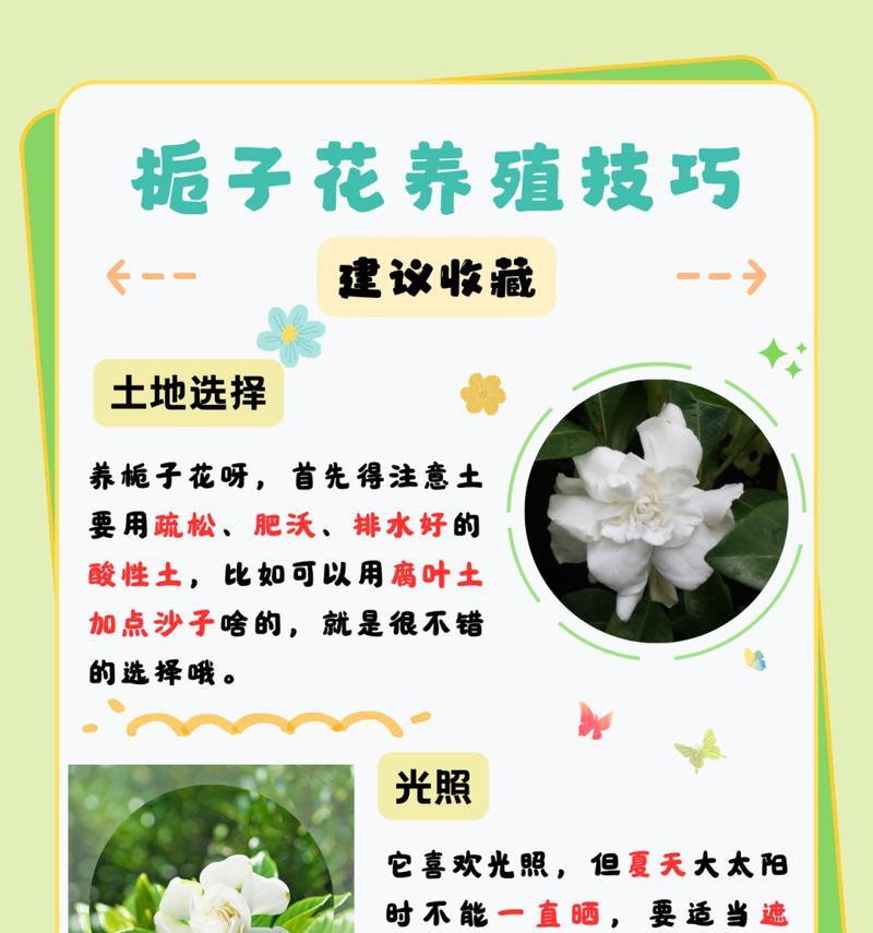 栀子花一半开不开机怎么办？（教你解决栀子花开机问题的方法）-第1张图片-绿意生活