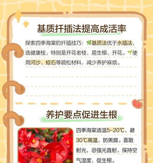 如何处理丽格海棠烂根问题（解决丽格海棠烂根的有效方法与技巧）-第2张图片-绿意生活