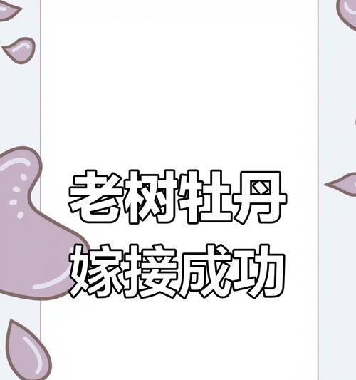 以牡丹花为主题的彩色嫁接之美（探索牡丹花的嫁接技术，打造多彩花海）-第2张图片-绿意生活