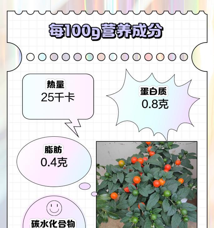 珊瑚豆有毒吗？室内养护指南解析（安全有保障，珊瑚豆也可作为室内绿植养护）-第3张图片-绿意生活