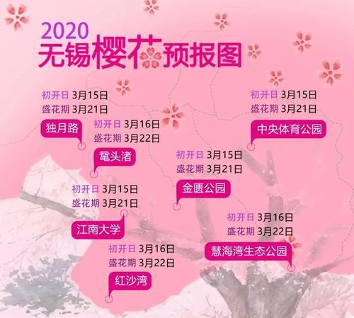 吉野樱花（辨识吉野樱花的关键标志及观赏技巧）-第3张图片-绿意生活