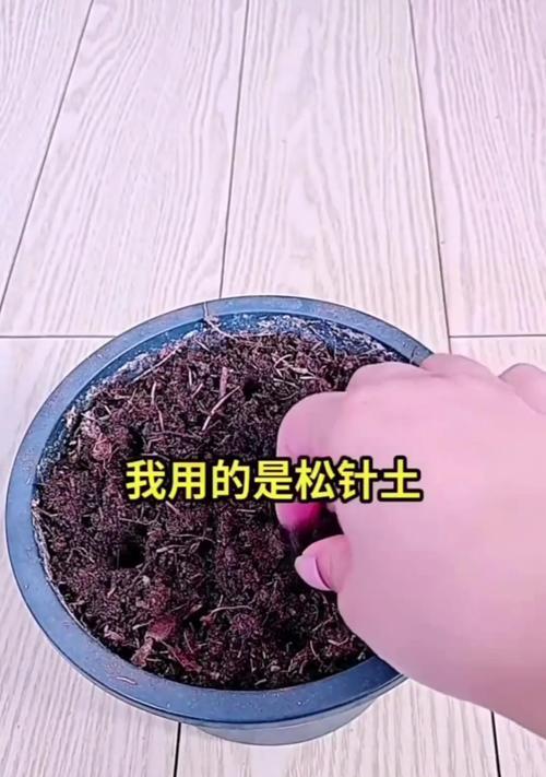 珠兰扦插的技巧与方法（简单易学的珠兰扦插步骤，助你打造花园的明珠）-第3张图片-绿意生活