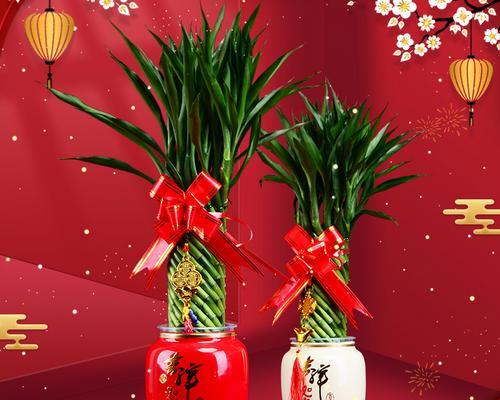 《室内养节节高，你需要知道的事情》（可养性强、观赏性佳的植物，但要注意它的毒性和喜光需求）-第3张图片-绿意生活