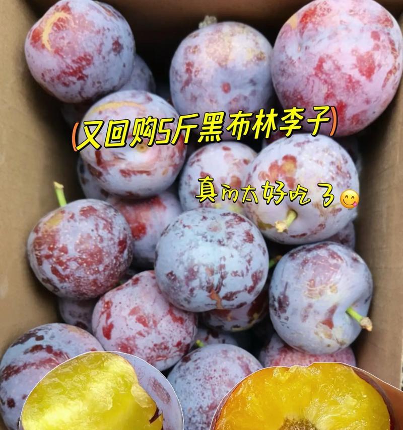 如何挑选美味的黑布林（全方位指南教你选择口感鲜美的黑布林）-第1张图片-绿意生活