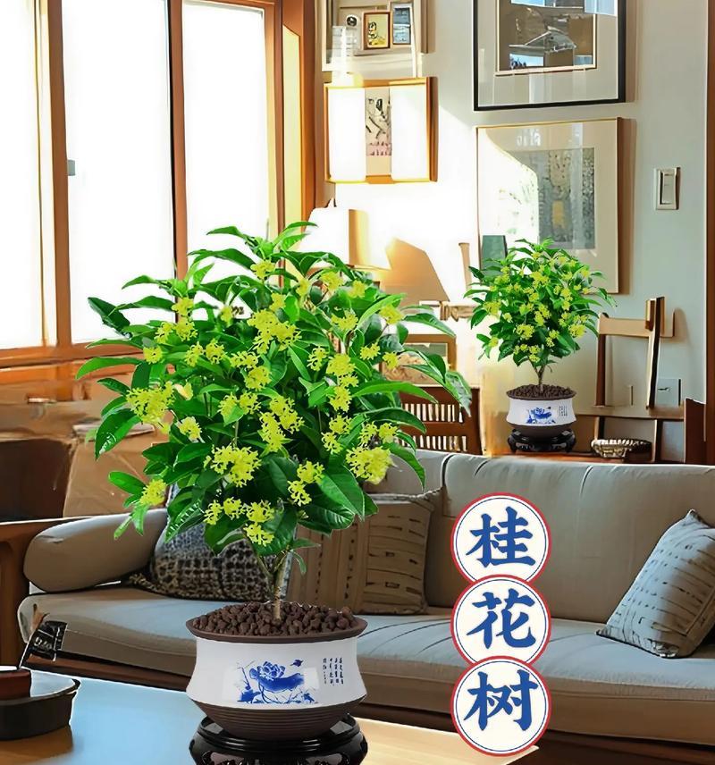 四季养护之道（打造美丽花园的秘诀）-第3张图片-绿意生活
