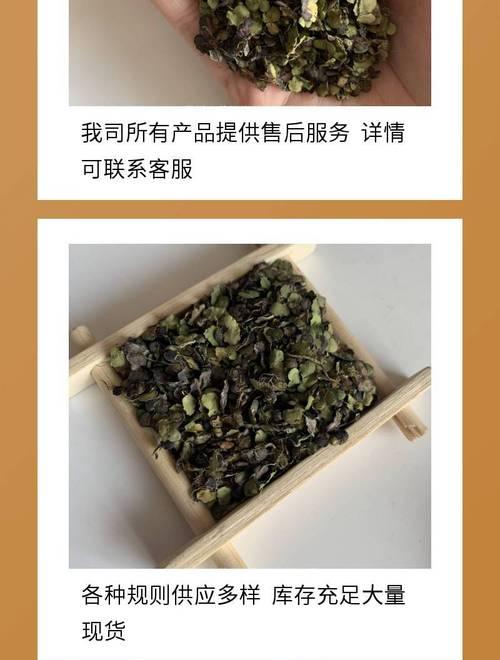 浮萍的神奇之处（揭秘浮萍的多种功效及作用）-第1张图片-绿意生活