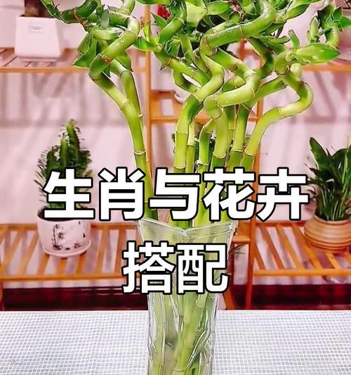 属猪的福气大发，这些植物帮你旺财运（养植物招财进宝，必须掌握的15种植物及其养殖技巧）-第1张图片-绿意生活