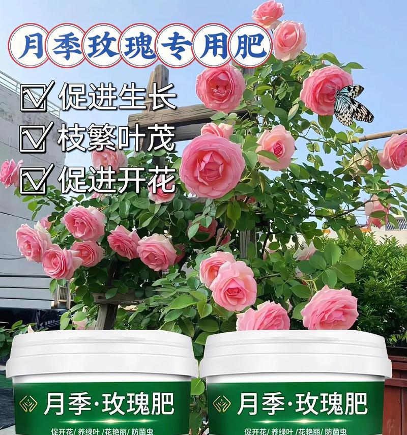 快速促进花的生长的肥料选择及使用技巧（选择合适的肥料类型，加速花的生长速度）-第3张图片-绿意生活
