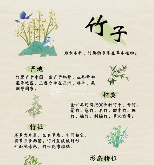 竹子怎么结的种子（探索竹子生殖之谜及其应用价值）-第1张图片-绿意生活