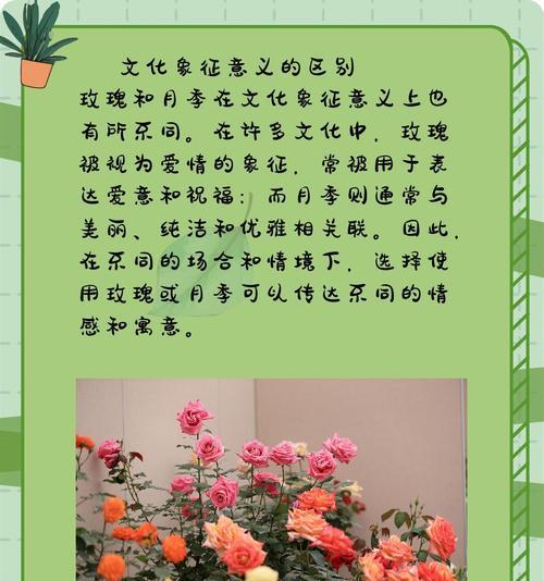月季与野生蔷薇的区别与特点（从外观、生长环境和养护要求角度探讨月季与野生蔷薇的不同）-第1张图片-绿意生活