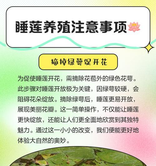 睡莲叶子卷曲原因与处理方法（如何让睡莲叶子健康茁壮成长）-第3张图片-绿意生活