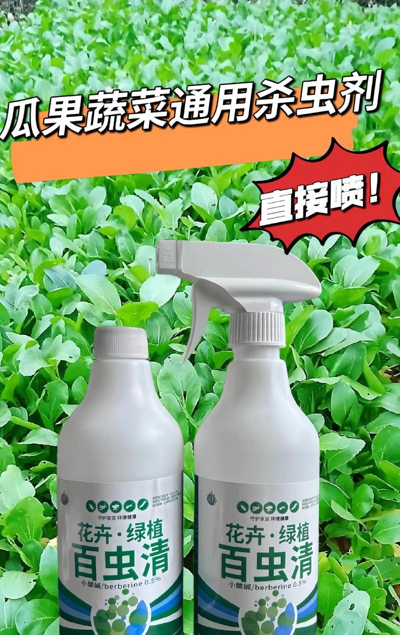 绿植受虫害困扰，快速解决方法大揭秘（如何有效消灭白色虫害，让绿植重现生机）-第3张图片-绿意生活
