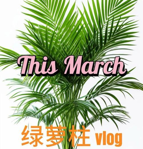 如何养成以绿箩为主题的文章（绿箩养殖技巧及注意事项）-第1张图片-绿意生活