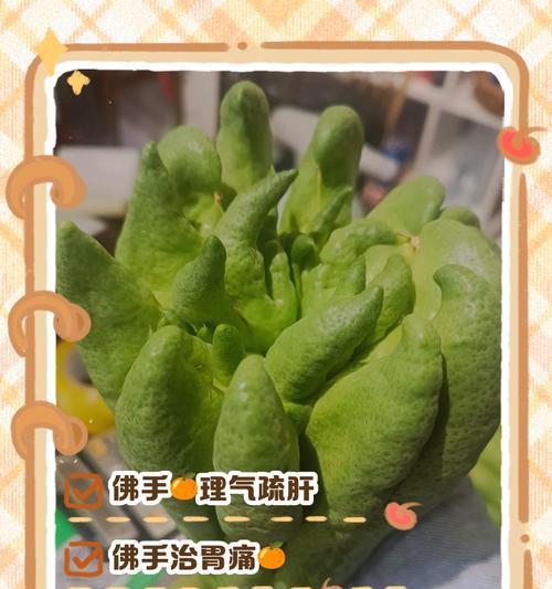 佛手如何养护过冬（佛手养护要点及注意事项）-第3张图片-绿意生活
