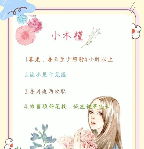 家庭盆栽木槿花的养护指南（打造家中美丽花园的秘密武器——木槿花养护技巧）-第2张图片-绿意生活