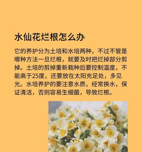 处理烂根土的有效方法（恢复土壤健康，提高植物生长质量）-第2张图片-绿意生活