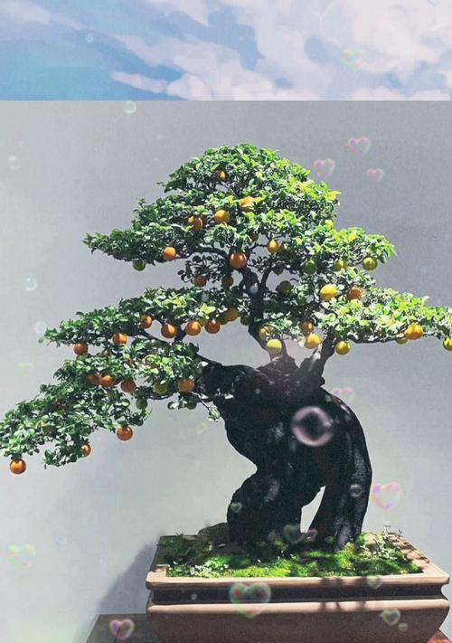 以附石盆景的制作方法（创造自然美景，探索附石盆景的艺术之道）-第3张图片-绿意生活