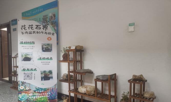 多肉沙土制作全攻略（打造多肉爱好者的沙土天堂）-第1张图片-绿意生活