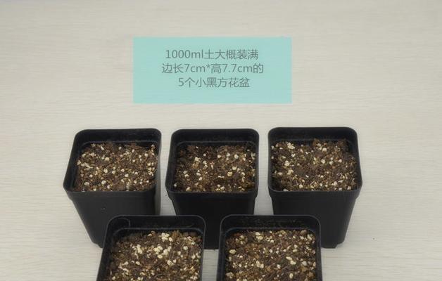 多肉沙土制作全攻略（打造多肉爱好者的沙土天堂）-第3张图片-绿意生活