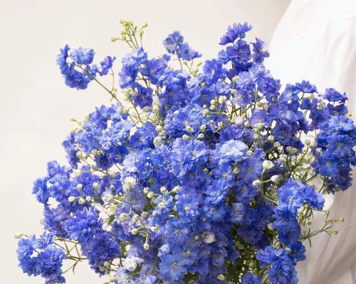 探索以花盆里的草的处理方法（让草变得更美丽的关键）-第2张图片-绿意生活
