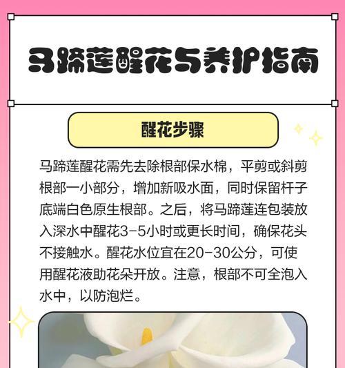 马蹄莲的休眠期及处理方法（唤醒沉睡的美丽——如何正确处理马蹄莲的休眠）-第3张图片-绿意生活