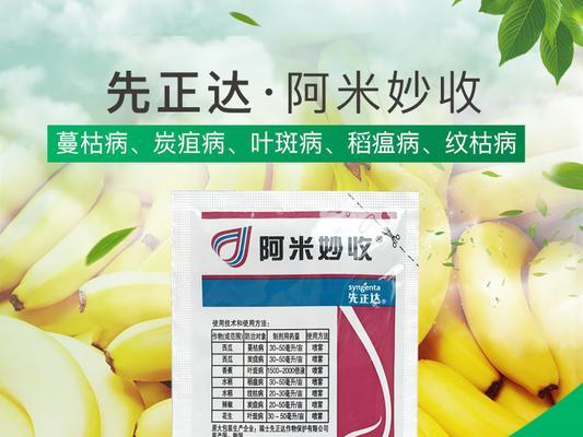 蔷薇花炭疽病的防治措施（掌握炭疽病的症状和传播途径，有效预防是关键）-第2张图片-绿意生活