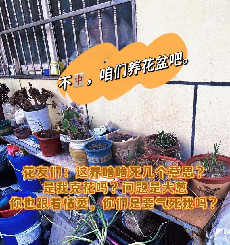 花草的养人之道（探索花草对人类身心的益处）-第2张图片-绿意生活