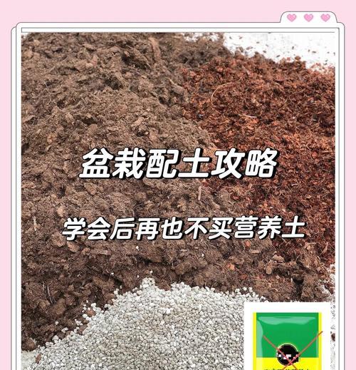 如何提高盆栽土壤肥力（有效改善土壤质量，让盆栽更健康茁壮）-第3张图片-绿意生活