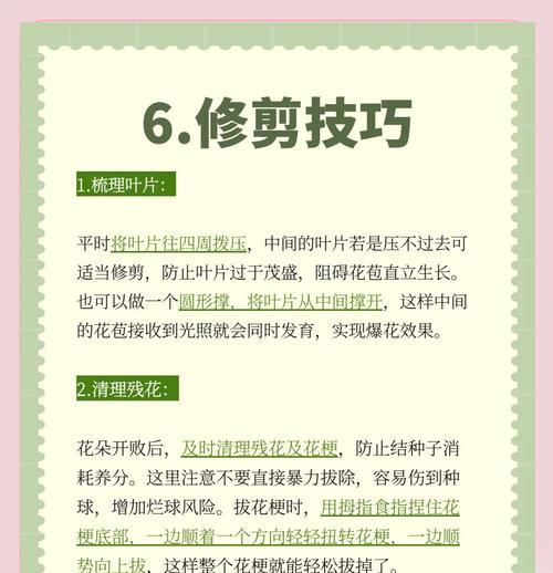救活憔悴的植物——以仙客来换盆后的护理指南（以仙客来换盆后怎么救活？护理技巧大揭秘！）-第3张图片-绿意生活