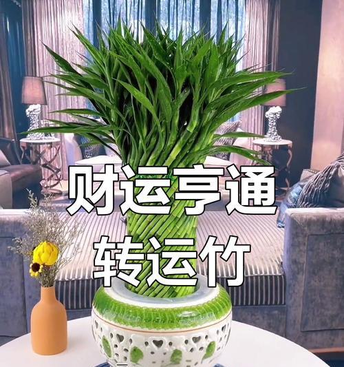 以转运竹怎么放好看？（打造家居艺术的秘密武器）-第2张图片-绿意生活