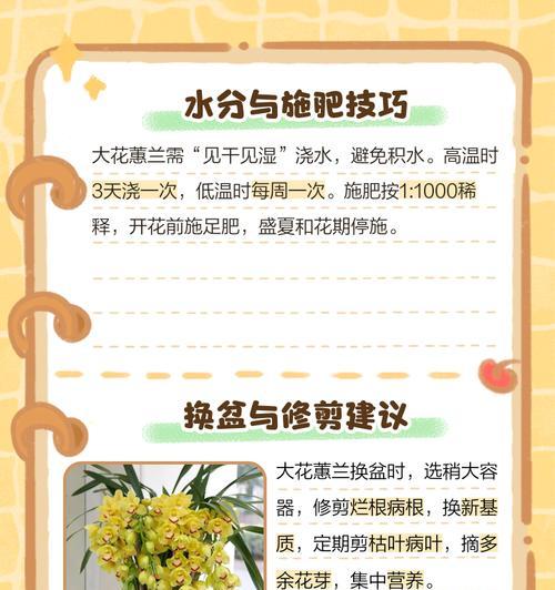 夏天怎么浇水最适合大花惠兰？（浇水时间、浇水频率和浇水量的）-第1张图片-绿意生活