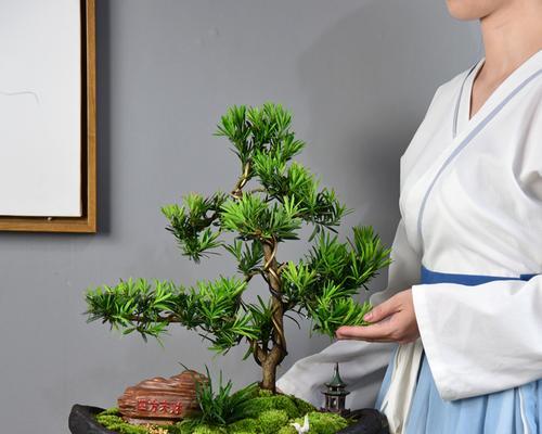 罗汉松的摆放禁忌与讲究（如何合理安置罗汉松，远离忌讳）-第1张图片-绿意生活