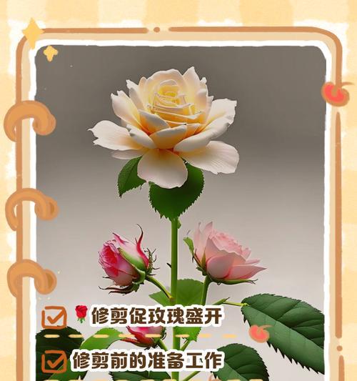 干梅花修剪枝叶指南（手把手教你如何正确修剪干梅花的枝叶）-第1张图片-绿意生活