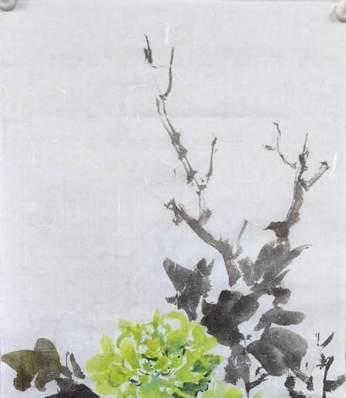 绿牡丹养殖攻略（以怎样的方法养好绿牡丹？）-第1张图片-绿意生活