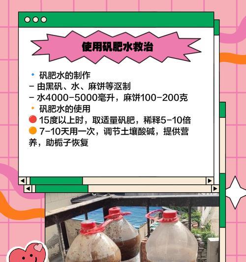如何调酸性土壤养栀子花？（科学方法让土壤更适合栀子花生长）-第1张图片-绿意生活