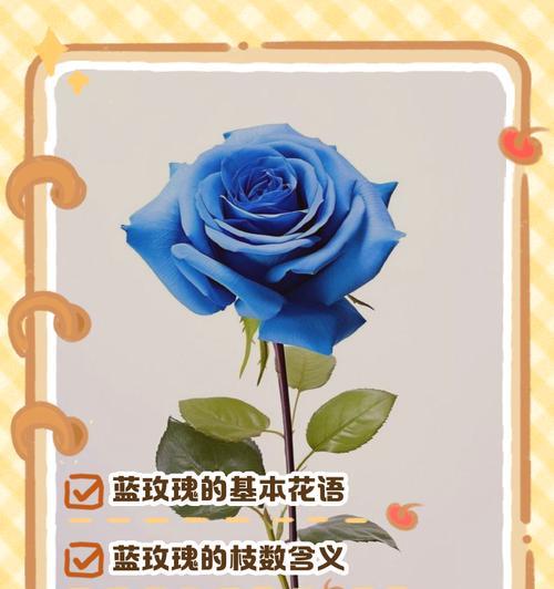 以蓝玫瑰怎么种植（如何培育出迷人的蓝色玫瑰）-第3张图片-绿意生活