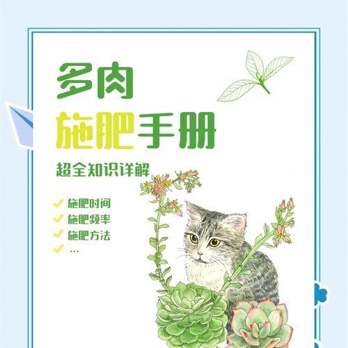 多肉叶子肥料的利用方法（以多肉叶子为肥料的正确使用方式和注意事项）-第3张图片-绿意生活