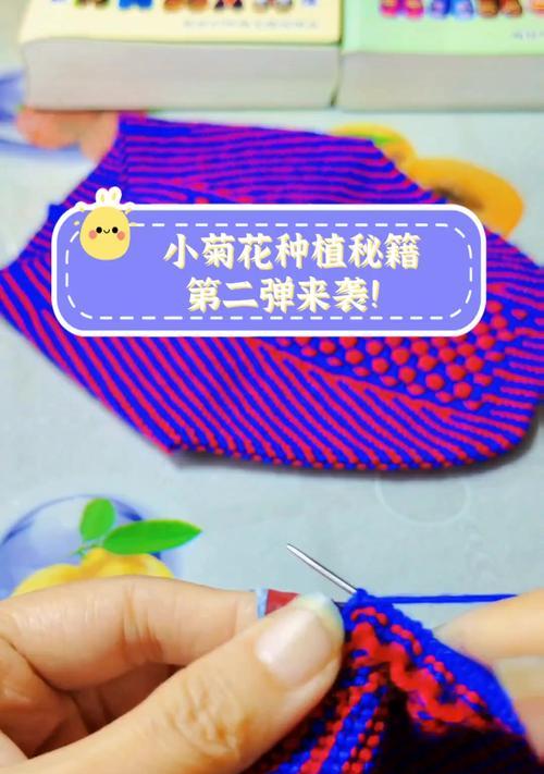 万寿菊花种植方法详解（从种子到绽放的全程指南，让你种出美丽的万寿菊花）-第2张图片-绿意生活