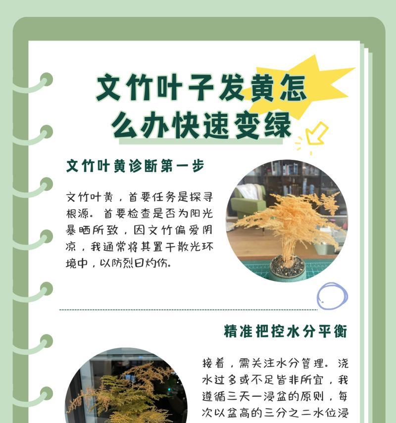 棕竹叶子发黄的原因及处理方法（了解棕竹叶子发黄的原因并采取适当措施加以修复）-第3张图片-绿意生活