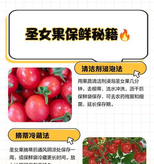 如何正确打顶圣女果？（打顶时间和方法步骤详解）-第2张图片-绿意生活