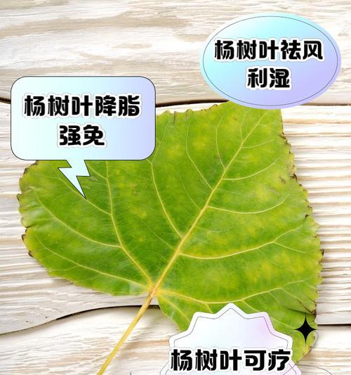 杨树病害的治疗方法及预防措施（保护森林资源，防治杨树病害，）-第2张图片-绿意生活