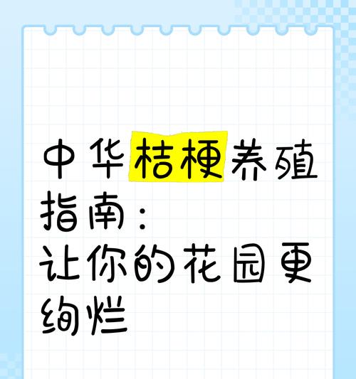 享受花海的喜悦——如何养护好自己的桔梗（桔梗养殖方法及养护要点详解，让您花样满满）-第3张图片-绿意生活