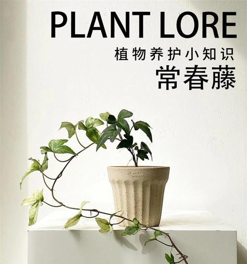 拯救下垂的植物（解决植物下垂问题的有效方法和技巧）-第2张图片-绿意生活