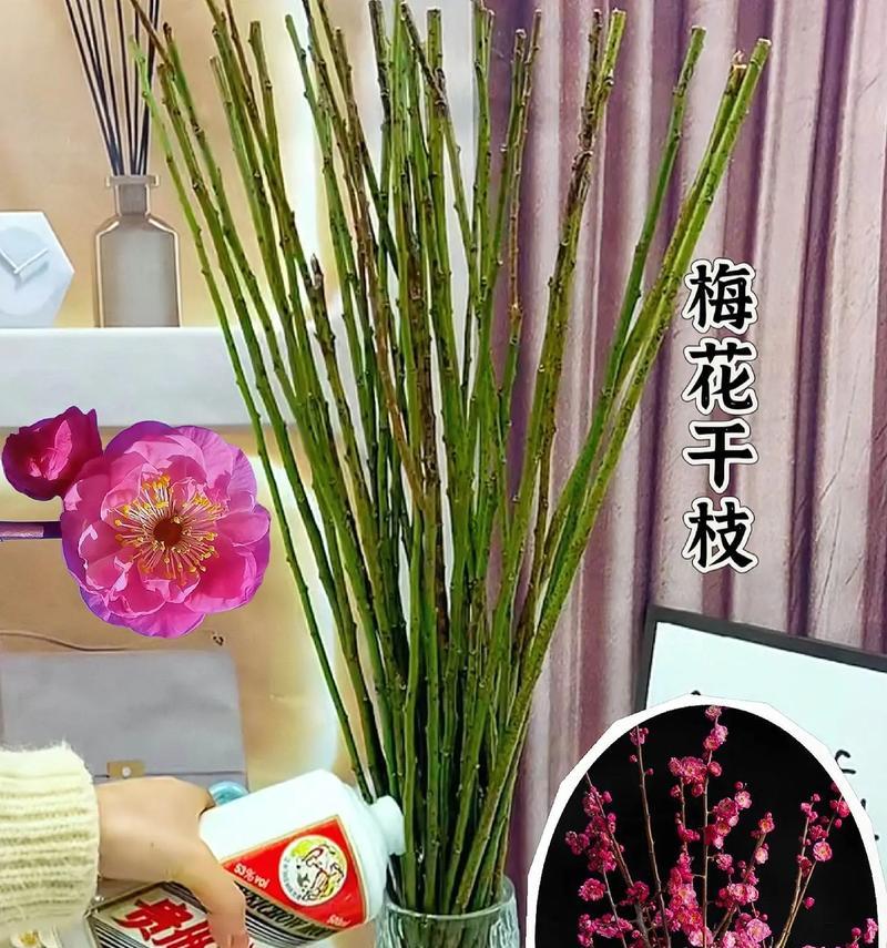 红梅松的养护与管理（如何正确养护红梅松，打造出独特的庭院风景）-第2张图片-绿意生活