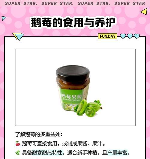 鹅莓种植指南（打造丰收的鹅莓园，让你爱上种植）-第3张图片-绿意生活
